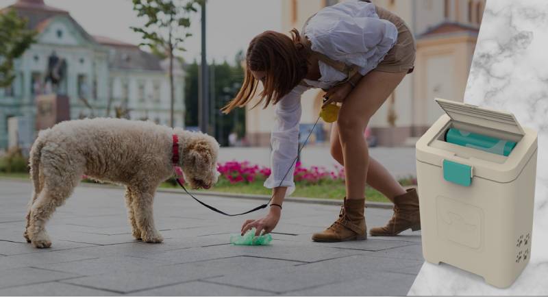 dog poop disposal system